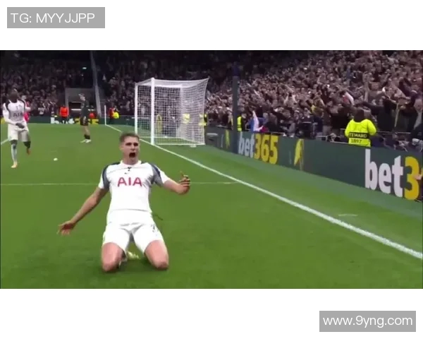 武什科维奇父亲透露儿子将在汉堡待至明年6月后再谈热刺未来